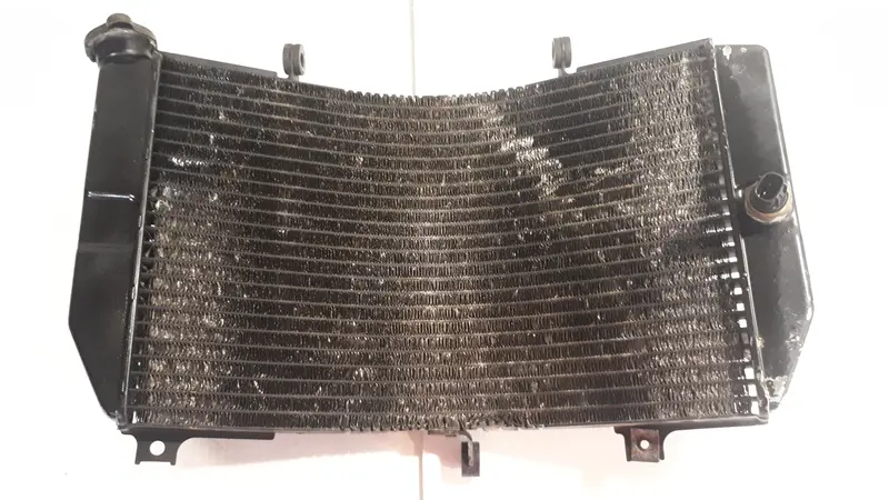 2000 Suzuki Gsx-R750 Radiator Core Assembly 1