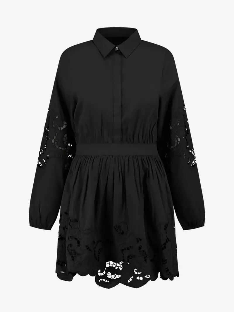 Ash Sleek A-Line Dress In Black 1