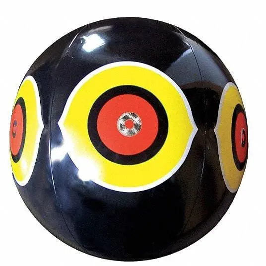 Bird Scare Eye Balloons For Crop Protection 1