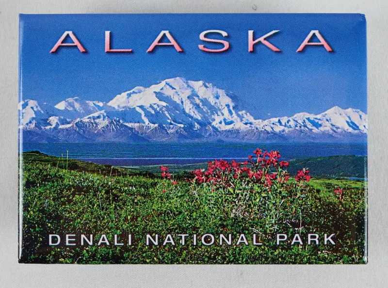 Denali Fireweed Refrigerator Magnet – Botanical Alaska Art 1