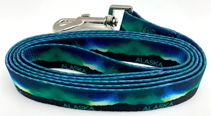 Glow-In-The-Dark Northern Lights Dog Leash 1