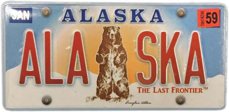 Grizzly Bear License Plate Magnet 1