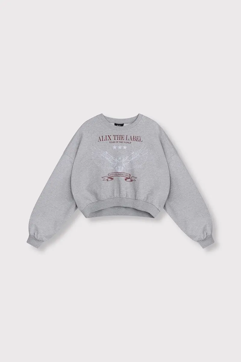 Heather Grey Eagle-Emblazoned Knit Sweater 1