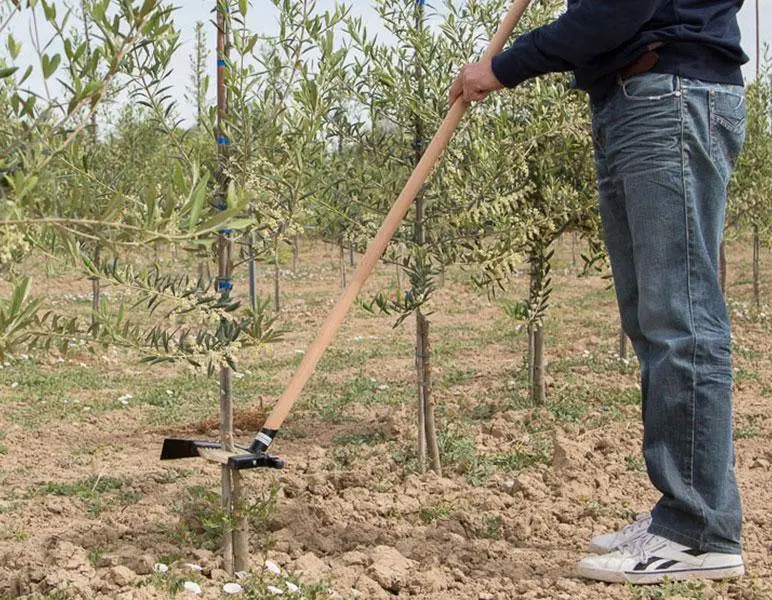 Manual Shoot Pruner – Handheld Tool For Removing Unwanted Plant Growth 1