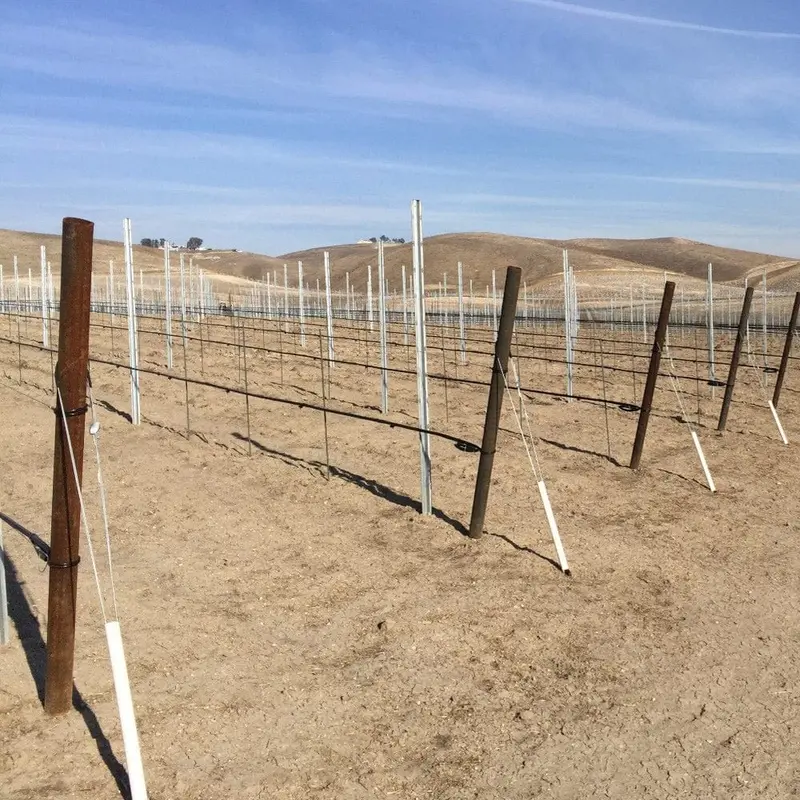 Oil-Coated Steel Pipe End Posts – 50 Per Bundle 1