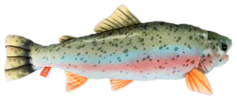 Rainbow Trout Plush Toy – 18-Inch Soft Stuffed Animal 1