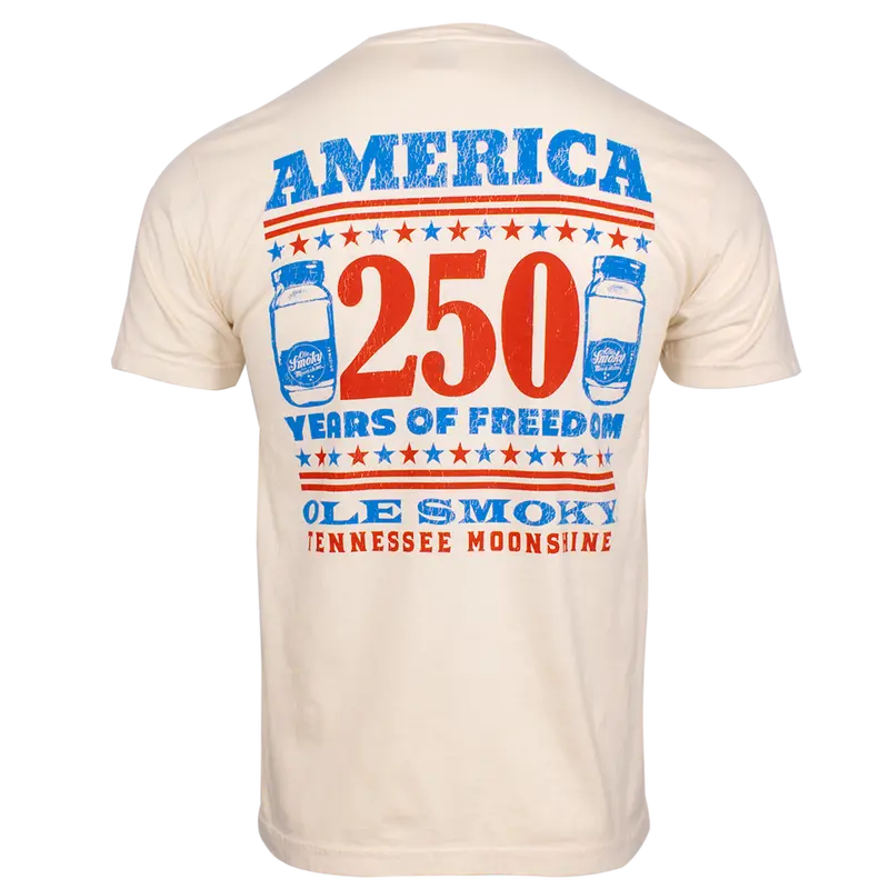 Stars And Stripes Patriotic Graphic Tee 1