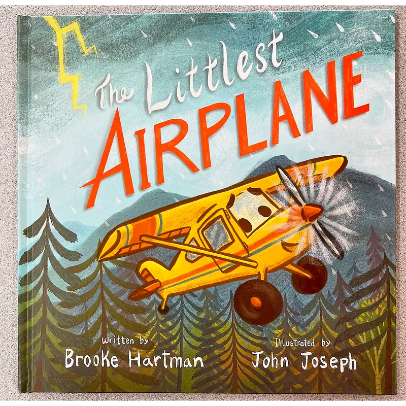 The Littlest Airplane – Hardcover Picture Book For Young Readers 1