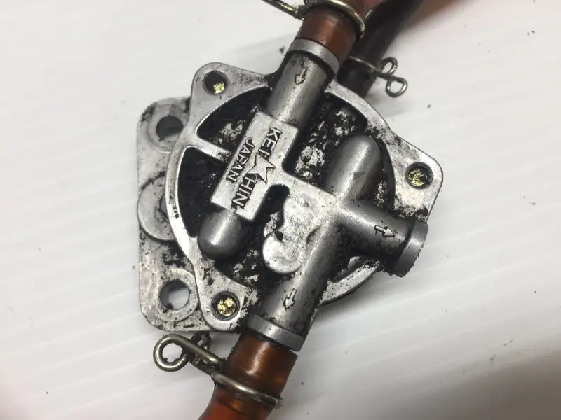 Yamaha Bravo 250 Fuel Delivery Pump Assembly 1