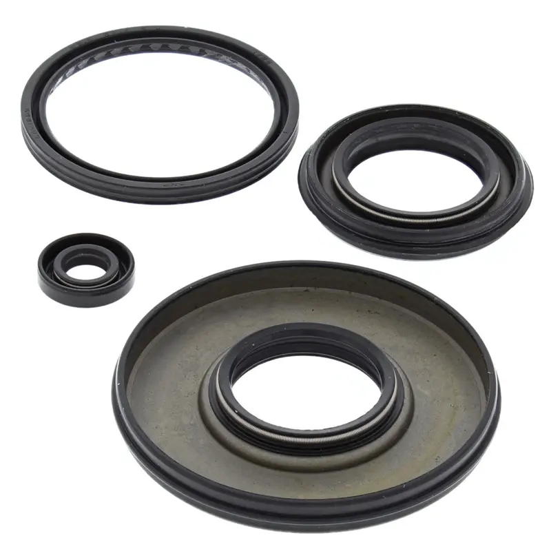 Yamaha Phazer Oil Seal Replacement Kit 1