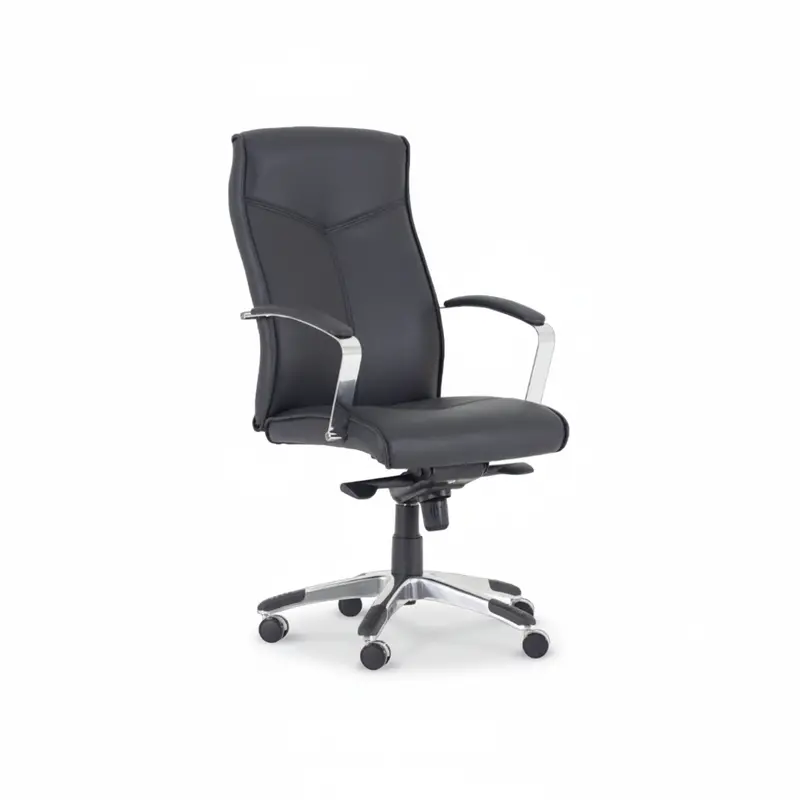Zed Executive Chair With Dynamic Recline Mechanism 1